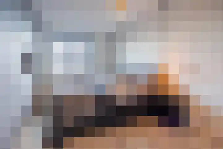 Hoeker 5 Dinteloord thumbnail 22