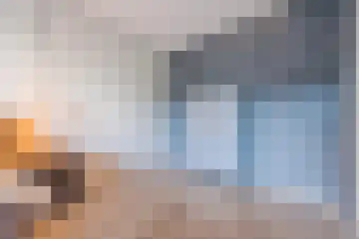Hoeker 5 Dinteloord thumbnail 24