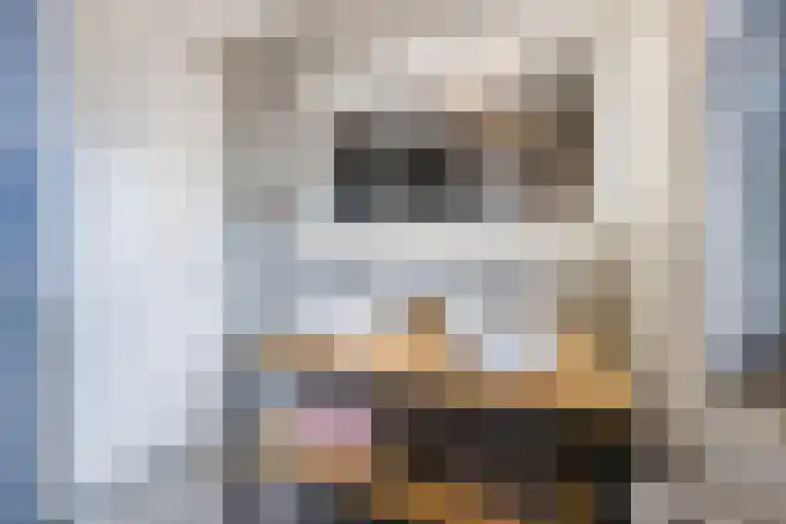 Hoeker 5 Dinteloord thumbnail 30