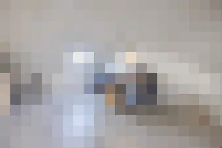 Hoeker 5 Dinteloord thumbnail 34