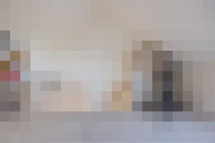 Hoeker 5 Dinteloord thumbnail 36