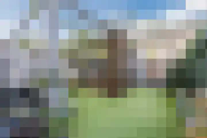 Hoeker 5 Dinteloord thumbnail 38