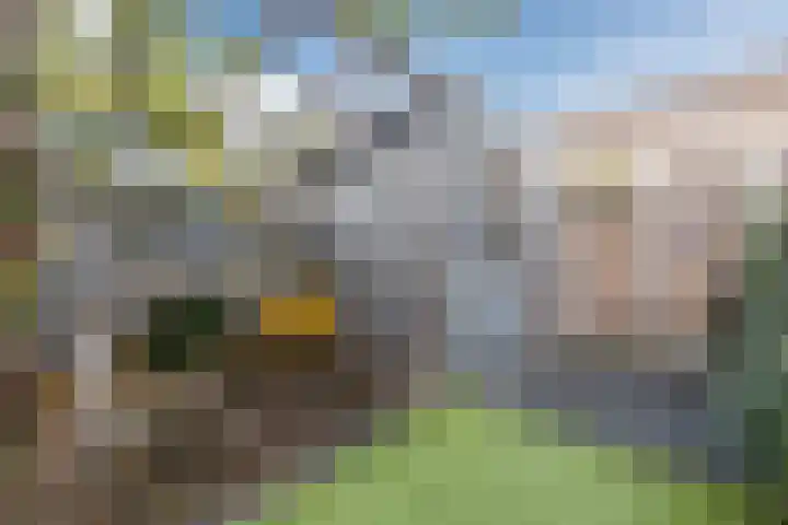 Hoeker 5 Dinteloord thumbnail 39