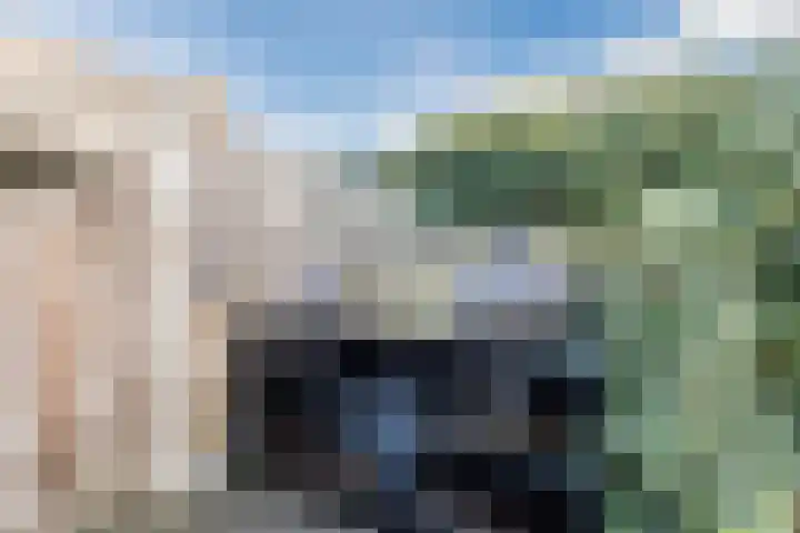 Hoeker 5 Dinteloord thumbnail 41