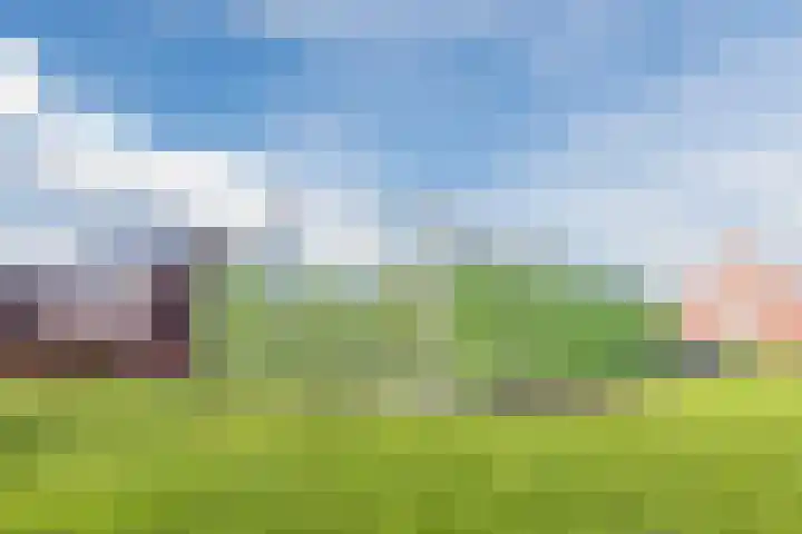 Hoeker 5 Dinteloord thumbnail 47