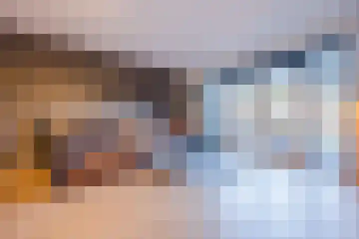 Hoeker 5 Dinteloord thumbnail 7