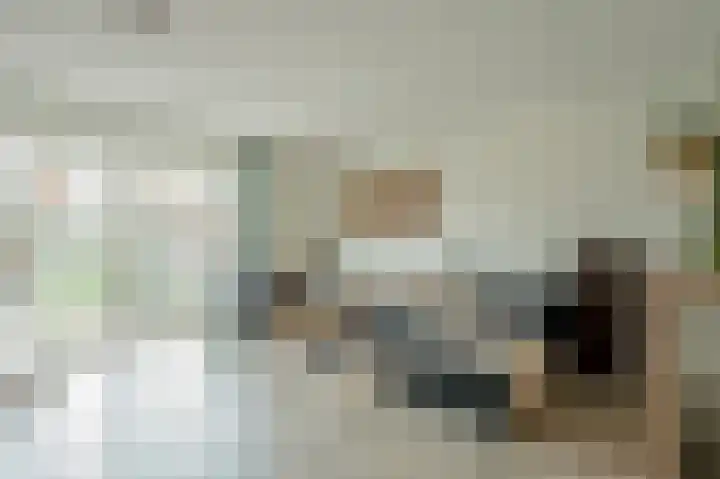 Hoeker 6 Dinteloord thumbnail 10