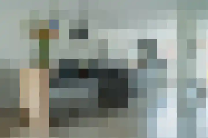 Hoeker 6 Dinteloord thumbnail 12
