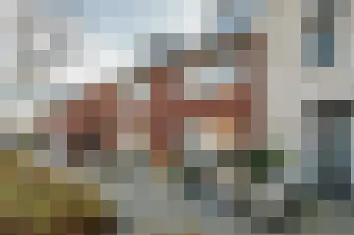 Hoeker 6 Dinteloord thumbnail 8