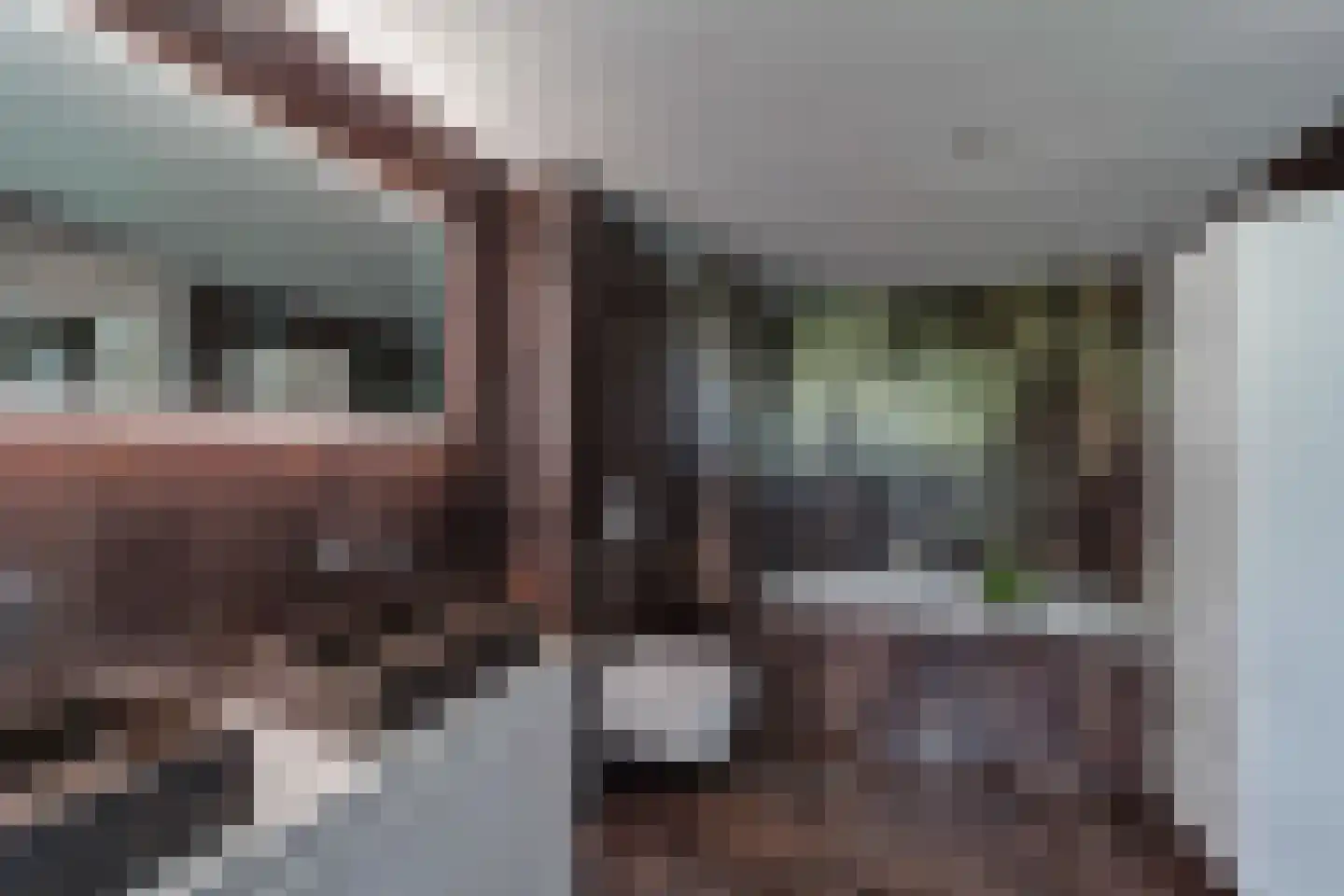 Hoeker 87 Maassluis foto 3