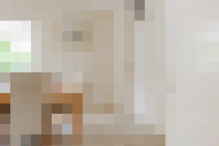 Hoekergoorn 8 Erm thumbnail 17