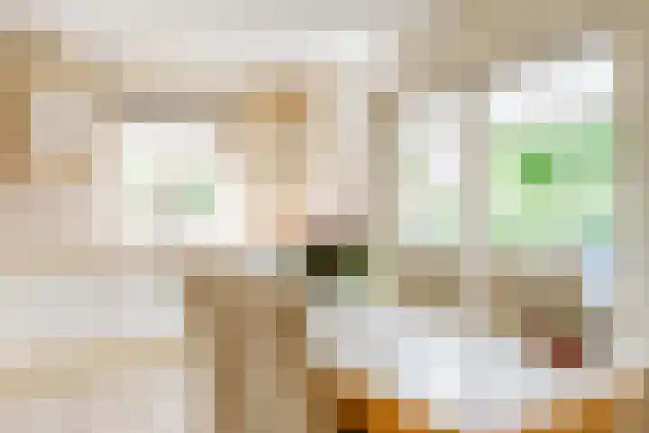 Hoekergoorn 8 Erm thumbnail 18