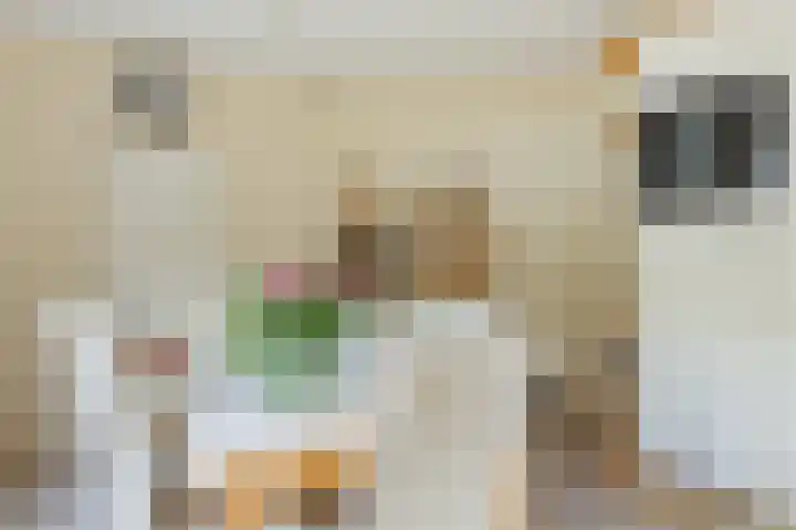Hoekergoorn 8 Erm thumbnail 19