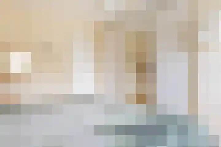 Hoekergoorn 8 Erm thumbnail 30