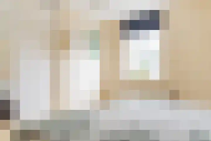 Hoekergoorn 8 Erm thumbnail 31