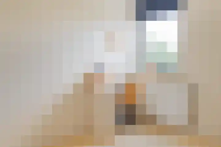 Hoekergoorn 8 Erm thumbnail 39