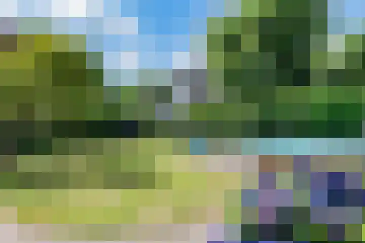 Hoekergoorn 8 Erm thumbnail 45