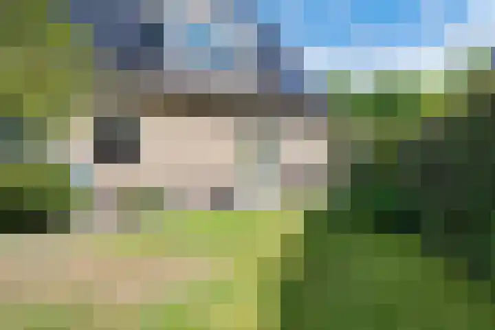 Hoekergoorn 8 Erm thumbnail 47