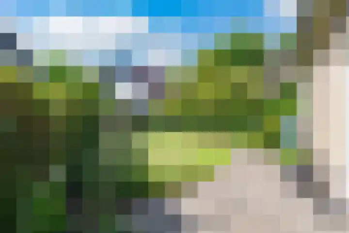 Hoekergoorn 8 Erm thumbnail 48
