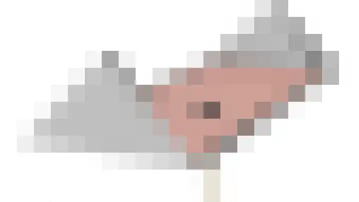 Hoekergoorn 8 Erm thumbnail 59