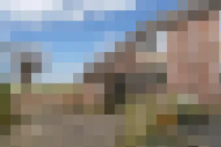 Hoekerhof 53 Harlingen thumbnail 5
