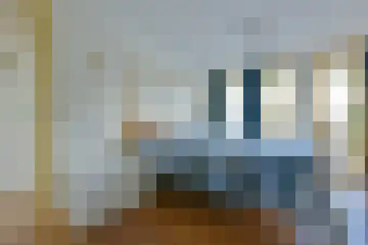 Hoekse Aar 102 Ter Aar thumbnail 14