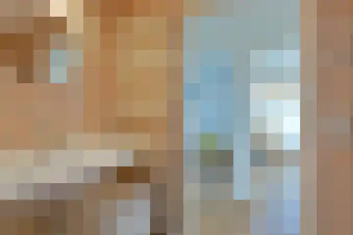 Hoekse Aar 102 Ter Aar thumbnail 17