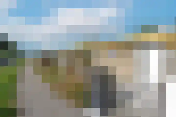Hoekse Aar 102 Ter Aar thumbnail 20