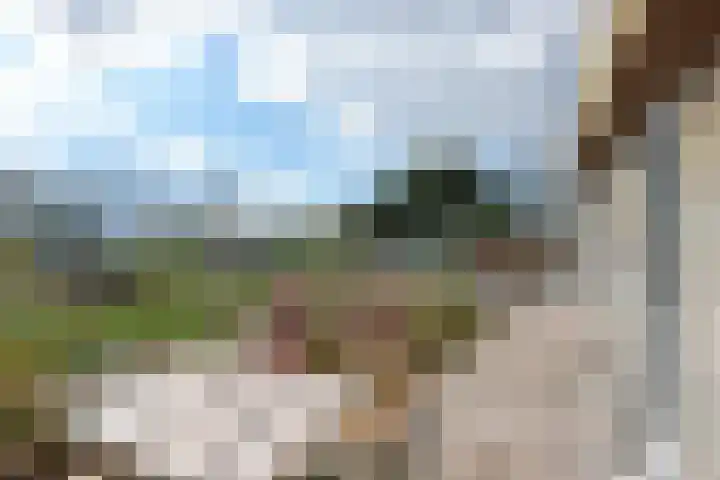 Hoekse Aar 102 Ter Aar thumbnail 21