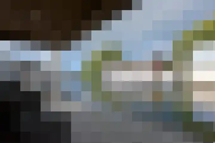 Hoekse Aar 102 Ter Aar thumbnail 22