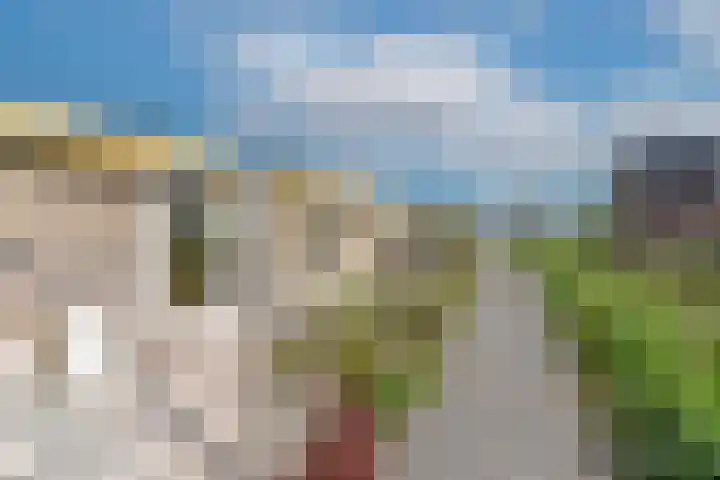 Hoekse Aar 102 Ter Aar thumbnail 26