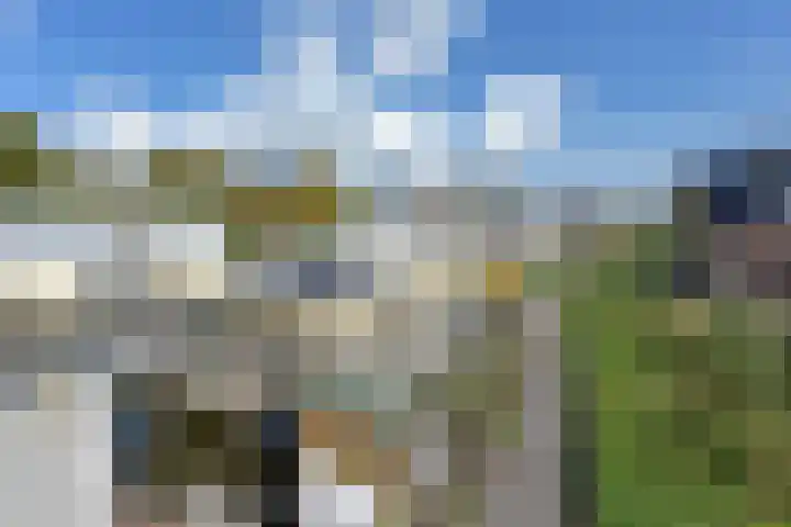 Hoekse Aar 102 Ter Aar thumbnail 27