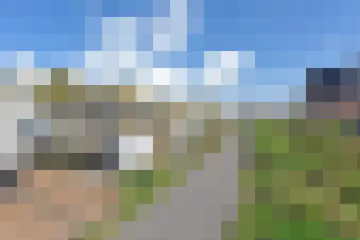Hoekse Aar 102 Ter Aar thumbnail 29