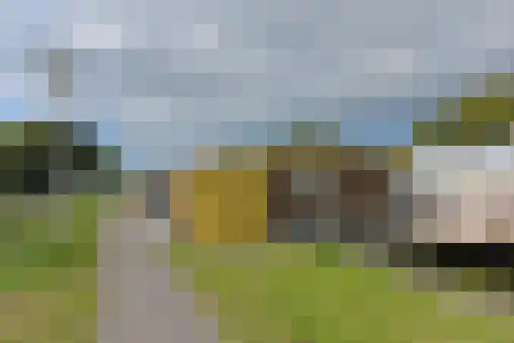 Hoekse Aar 102 Ter Aar thumbnail 32