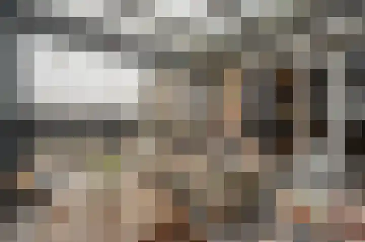 Hoeksedijk 49 Maasdam thumbnail 11