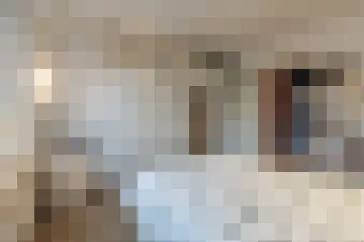 Hoeksedijk 49 Maasdam thumbnail 14