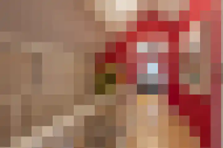 Hoeksedijk 49 Maasdam thumbnail 18