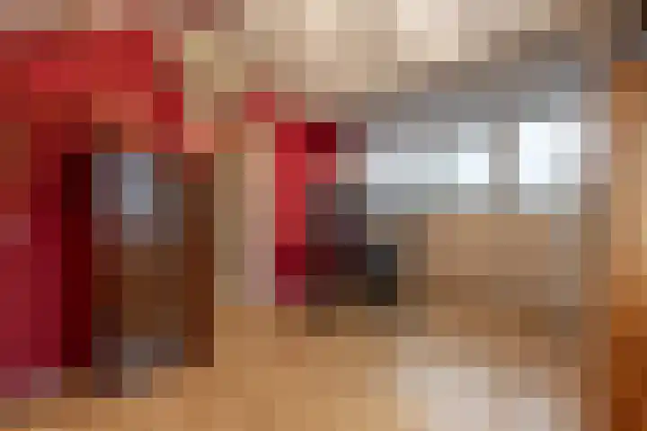 Hoeksedijk 49 Maasdam thumbnail 24