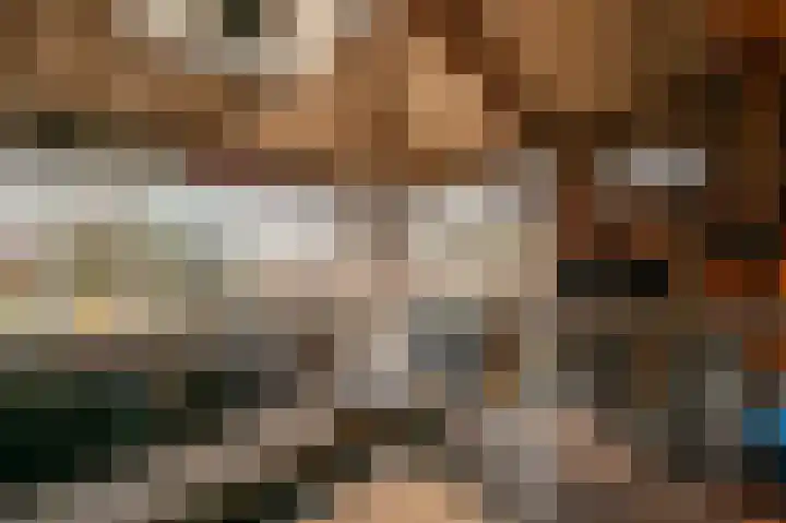 Hoeksedijk 49 Maasdam thumbnail 33