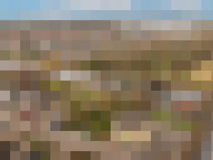 Hoeksedijk 49 Maasdam thumbnail 37