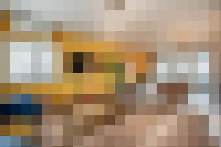 Hoeksedijk 49 Maasdam thumbnail 4