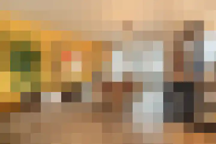Hoeksedijk 49 Maasdam thumbnail 6