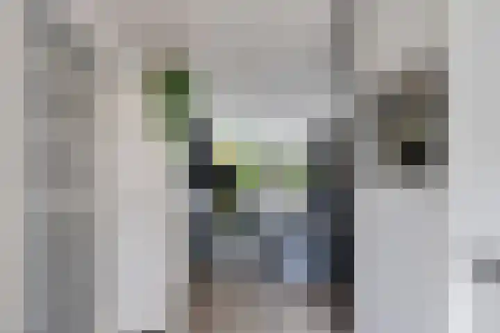 Bürofoto von Hoekstra en Van Eck Makelaars Almere