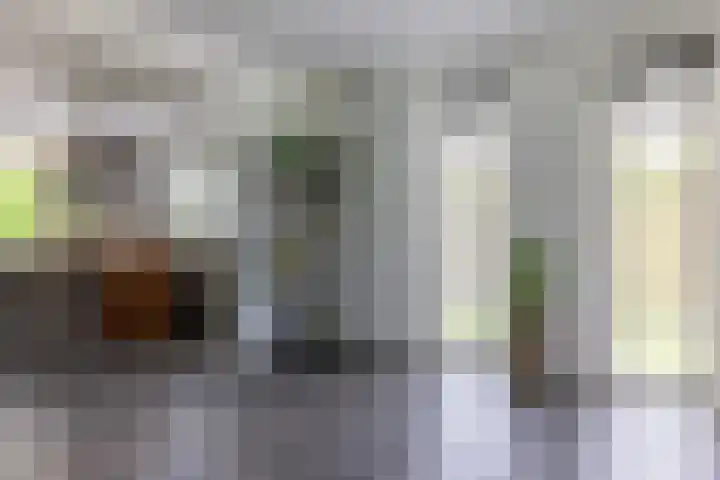 Hoekweg 18 Vroomshoop thumbnail 13