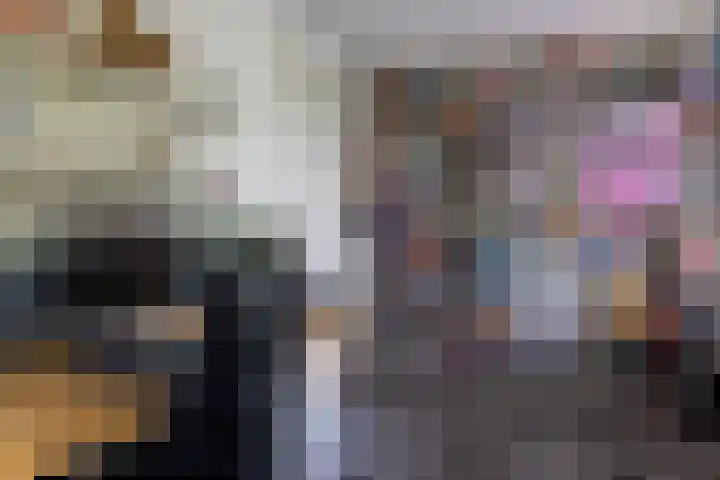 Hoekweg 18 Vroomshoop thumbnail 22