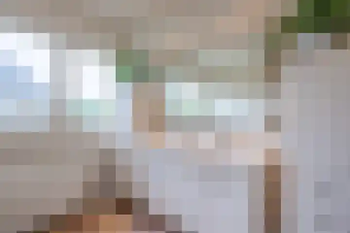 Hoekweg 18 Vroomshoop thumbnail 27
