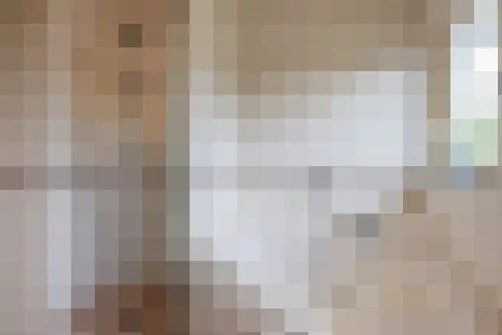Hoekweg 18 Vroomshoop thumbnail 29
