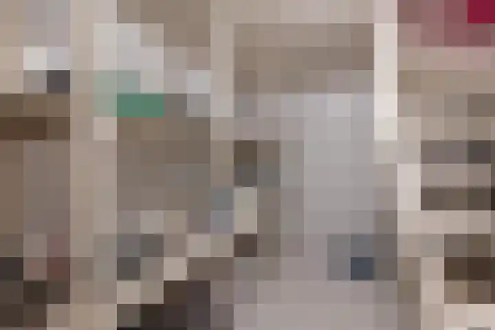 Hoekweg 18 Vroomshoop thumbnail 32