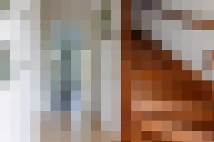 Hoekweg 18 Vroomshoop thumbnail 4