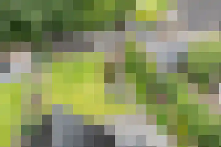 Hoekweg 18 Vroomshoop thumbnail 40